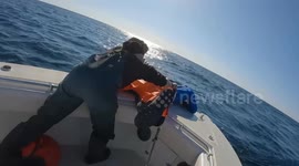 12 ft great white shark 'Ernst' spotted off Florida coast