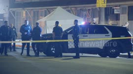 US, Los Angeles: Green Meadows Woman Shot And Killed