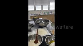 Japan: Magnitude 4.9 Earthquake Hits North Of Tokyo