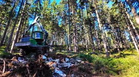 ohn Deere 1510G Forwarder With Dual Tracks Descends Over Rocky Terrain | Extreme Forestry 4K