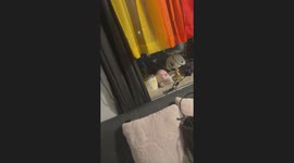 Rainbow Curtains Not In Color Order