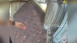 US: 86-Year-Old Man Rescued After Dangling From Roof In Tampa