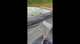 Man Realizes He's Being Watched by a Jaguar