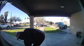 Amazon Delivery Man Is Best Friends With My Cat