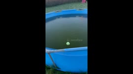 Breaking Ice on a Koi Pool