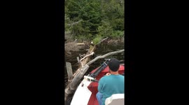 Fishing With a Bald Eagle