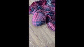 Dog Wrapped in Blanket Struggles to Start Snowy Morning Routine