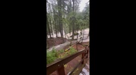 US: Atmospheric River Brings Major Flooding in Western Washington 14