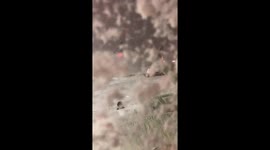 Japan: Heavy Snowfall Strands 750 Passengers at Hokkaido New Chitose Airport