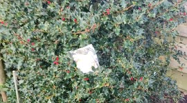 An anonymous person hides lucky charms and brings a very nice message.