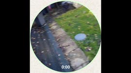 full vidio of first zoomies and other firsts