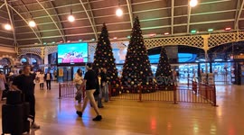 Christmas trees at Central Station, Sydney, Australia