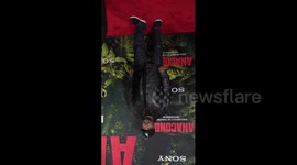 US: ANACONDA Los Angeles Premiere - Arrivals