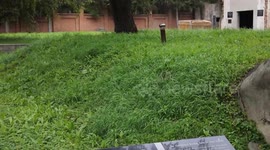 China: Testimony reveals Japan's germ warfare crimes in China