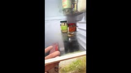 Glass jars hilariously stuck in fridge shelf in Novosibirsk, Russia