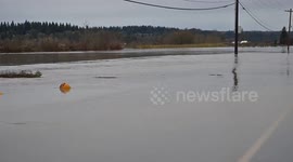 US: Floodwaters Spread Across Fields and Roads Near Snohomish
