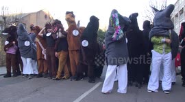 London Pantomime Horse Race 2025: Brits take part in bonkers race through streets of Greenwich