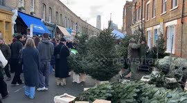 Christmas Trees and Decorations for Sale at Columbia Road Flower Market in London