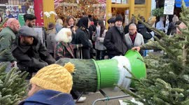 Christmas Trees and Decorations for Sale at Columbia Road Flower Market in London