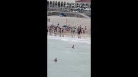 Australia: 15 Dead After Mass Shooting at Sydney’s Bondi Beach 3