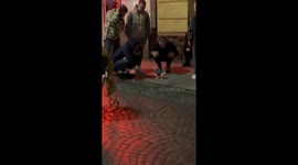 Chihuahua charms pedestrians with playful attitude in Chernivtsi, Ukraine