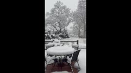 Heavy wet snow blankets East Islip during winter snowfall, New York, USA