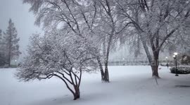Fresh snowfall blankets Rockefeller Park in New York, USA