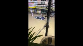 Neighbours shocked by python gliding through flooded street in Thailand