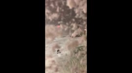 Flights grounded as heavy snowfall hits Japan airport