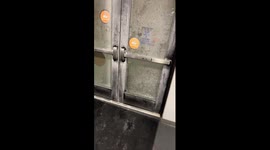 Frozen doors show brutal Michigan cold—Instagram clip nears 900K views