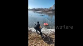 Heartwarming Rescue: Dog Saved From Icy Lake by Kind Stranger in Lanzhou