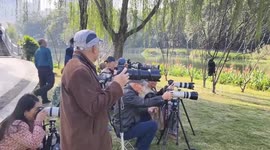 China: Gear sales soar as birdwatching season starts in China