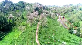 China: Revitalization efforts transform rural China