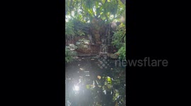 Amazing mysterious tropical jungle and waterfall with dreamy mist and sparkling sunshine shining on crystal clear water.