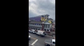 Bear on a Bubba Gump in Gatlinburg