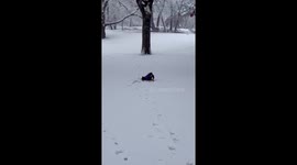 Dog makes playful snow angels during first snowfall in New York, USA