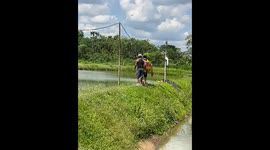 Fishing attempt goes wrong as pair tumble into pond in Joya de Los Sacha, Ecuador
