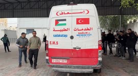 Four Palestinians killed in Israeli strike in Gaza amid ceasefire violations