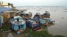 Fish populations falling fast in Vietnam’s Mekong River, authorities warn