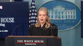 White House says announcements on Gaza Peace Council will come ‘at the appropriate time’