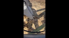 Farmer Keeps a Lizard In His Pocket