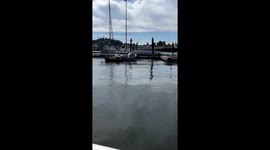 Boat Ramp Chaos at Port of Siuslaw Marina