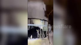 Polish border guards detain 130 irregular migrants after crossing tunnel under Polish-Belarusian border