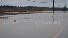 US: Floating Pumpkins Drift Across Flooded Rural Road In Washington Storm
