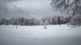 US: Central Park Transformed Into Serene Winter Wonderland In Manhattan