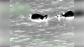 US: Five Boaters Rescued After Vessel Sinks Near Egmont Key