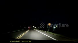 Deer Runs Into Middle Of The Street Suddenly And Driver Almost Hits Them