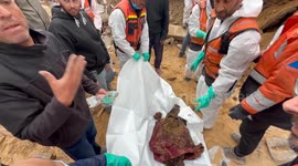 Palestinian Civil Defence Search Bodies