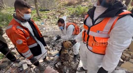 Palestinian Civil Defence Search Bodies