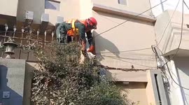 Pakistan: Rawalpindi: Rescue 1122 Saves Injured Cat Trapped in Iron Safety Grill on Adiala Road